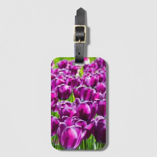 Groot veld van paarse tulpen bagagelabel (Voorkant (verticaal))