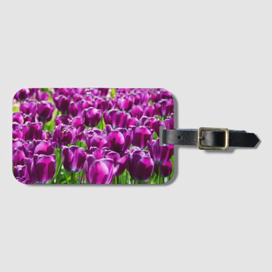 Groot veld van paarse tulpen bagagelabel (Voorkant (horizontaal))