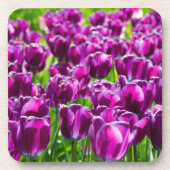 Groot veld van paarse tulpen bier onderzetter (Voorkant)