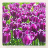 Groot veld van paarse tulpen glazen onderzetter (Voorkant)