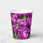 Groot veld van paarse tulpen papieren bekers (Links)