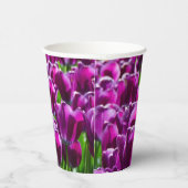 Groot veld van paarse tulpen papieren bekers (Rechts)