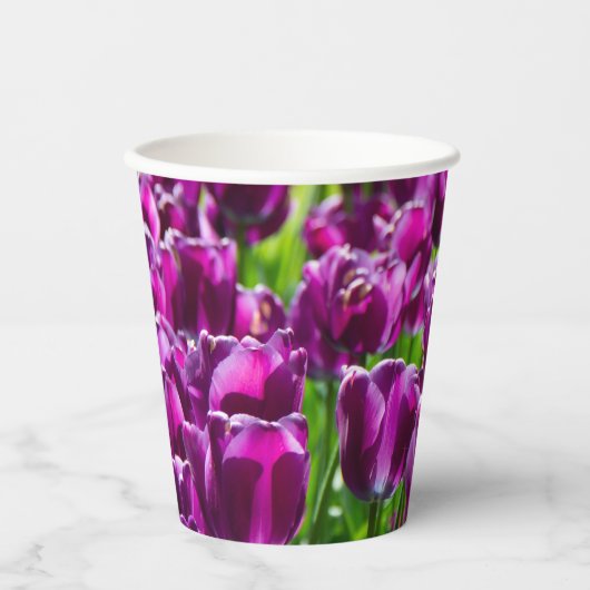 Groot veld van paarse tulpen papieren bekers (Voorkant)
