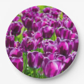 Groot veld van paarse tulpen papieren bordje (Voorkant)