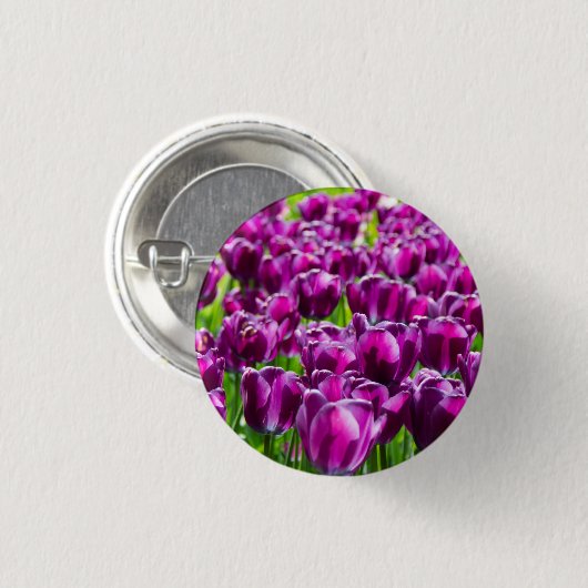 Groot veld van paarse tulpen ronde button 3,2 cm (Voorkant /achterkant)