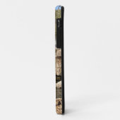 Groot waterval Foto Joplin MO  Case-Mate iPhone Case (Achterkant/links)