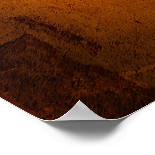  Groot ZEGEL van de Verenigde Staten 1890 Poster (Hoek)