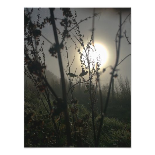 Groot zien in klein foto afdruk (Voorkant)