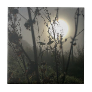 Groot zien in kleine fotoafdrukken tegeltje