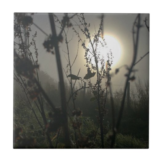 Groot zien in kleine fotoafdrukken tegeltje (Voorkant)