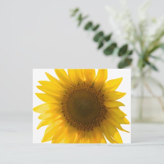 Groot zonnebloem briefkaart (Staand voorkant)