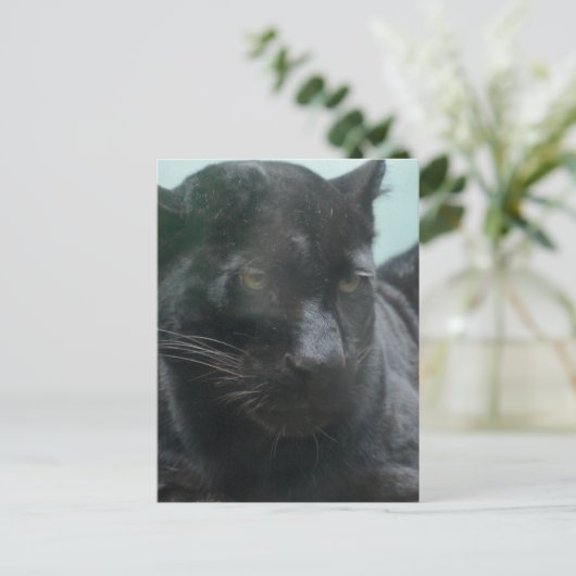 Groot zwart Briefkaart (Staand voorkant)