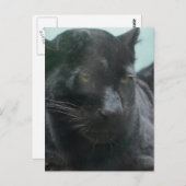 Groot zwart Briefkaart (Voorkant / Achterkant)