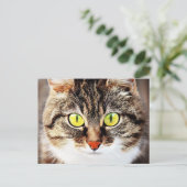 Grootbeige kattenportret briefkaart (Staand voorkant)