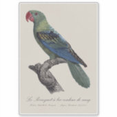 Grootbekpapegaai Sticker (Voorkant)