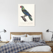 Grootbekparkiet, Tanygnathus megalorynchos Canvas Afdruk (Insitu (Slaapkamer))