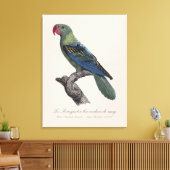 Grootbekparkiet, Tanygnathus megalorynchos Canvas Afdruk (Insitu (Woonkamer))