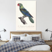 Grootbekparkiet, Tanygnathus megalorynchos Canvas Afdruk (Insitu (Slaapkamer))