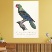 Grootbekparkiet, Tanygnathus megalorynchos Canvas Afdruk (Insitu (Woonkamer))