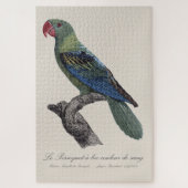 Grootbekparkiet, Tanygnathus megalorynchos Legpuzzel (Verticaal)