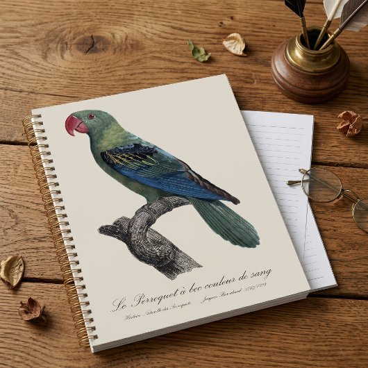 Grootbekparkiet, Tanygnathus megalorynchos Planner