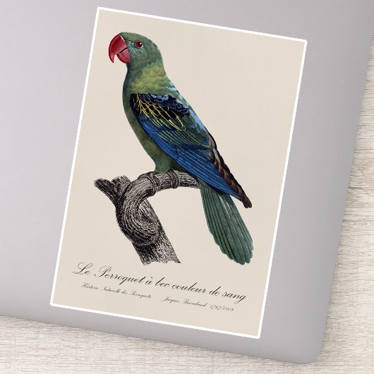 Grootbekparkiet, Tanygnathus megalorynchos Sticker