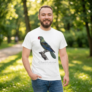 Grootbekparkiet, Tanygnathus megalorynchos T-shirt