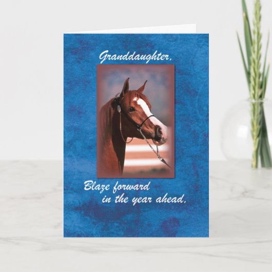 Grootdochter Birthday Horse op Blue Kaart (Voorkant)