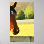 Grootdochter secretariaat poster (Voorkant)