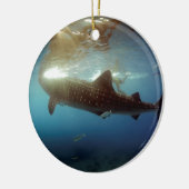 Groothandel in haaien keramisch ornament (Links)