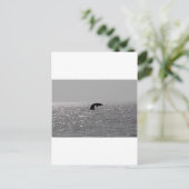 Groothandel - Zuid-rechtse walvisafdruk Briefkaart (Staand voorkant)