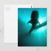 Groothandelszijde Briefkaart (Voorkant / Achterkant)