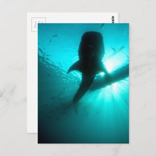 Groothandelszijde Briefkaart (Voorkant / Achterkant)