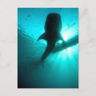 Groothandelszijde Briefkaart