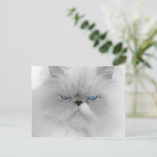 Groothertogdom Perzisch Kat Briefkaart (Staand voorkant)