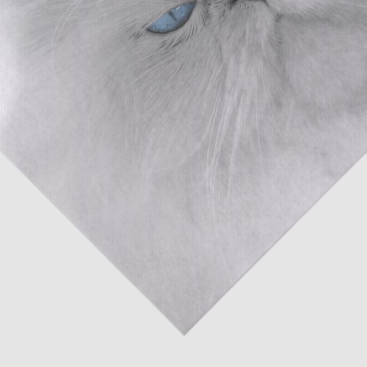 Groothertogdom Perzisch Kat Tissuepapier (Detail)