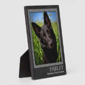 Groothond, grijs en bruin, naam en foto fotoplaat (Zijkant)