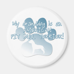 Groothond van American Pit Bull Terrier Magneet