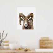 Groothoornschaap Portret  Zwart wit   Poster (Keuken)