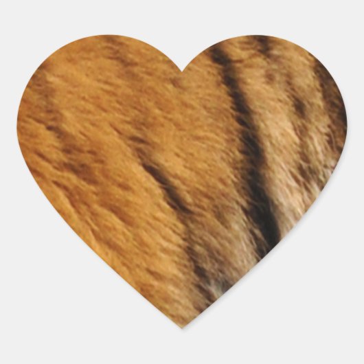 Grootkat met grote kat in het wild, met foto's bem hart sticker (Voorkant)