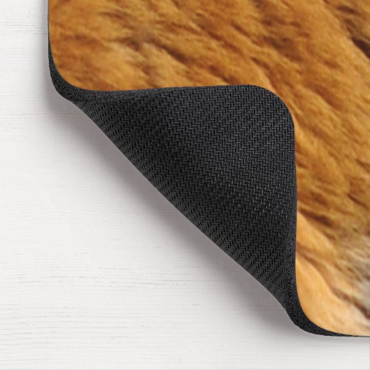 Grootkat met grote kat in het wild, met foto's bem muismat (Hoek)