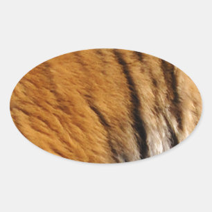 Grootkat met grote kat in het wild, met foto's bem ovale sticker