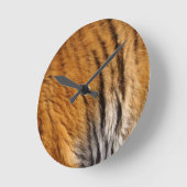 Grootkat met grote kat in het wild, met foto's bem ronde klok (Hoek)