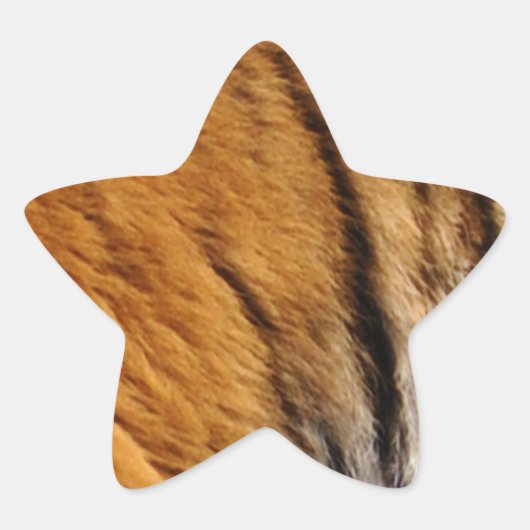 Grootkat met grote kat in het wild, met foto's bem ster sticker (Voorkant)