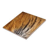 Grootkat met grote kat in het wild, met foto's bem tegeltje (Zijkant)