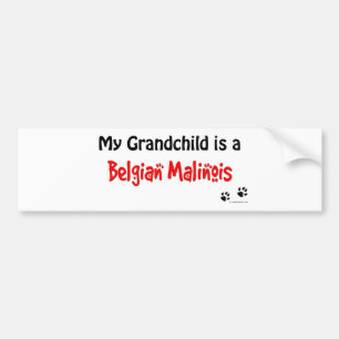 Grootkind Belgische Malinois Bumpersticker