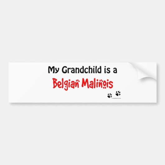 Grootkind Belgische Malinois Bumpersticker (Voorkant)