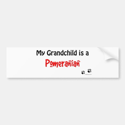 Grootkind Pomeranian Bumpersticker (Voorkant)