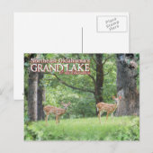 Grootmeer Oklahoma-postkaartherder Briefkaart (Voorkant / Achterkant)