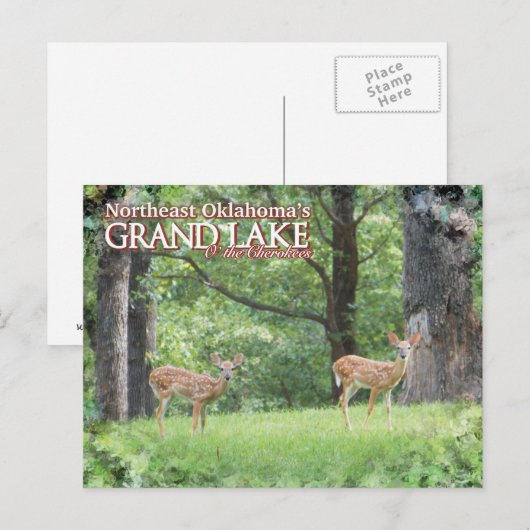 Grootmeer Oklahoma-postkaartherder Briefkaart (Voorkant / Achterkant)
